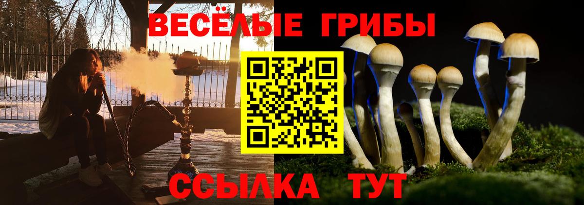 Галлюциногенные грибы Magic Shrooms Кашира